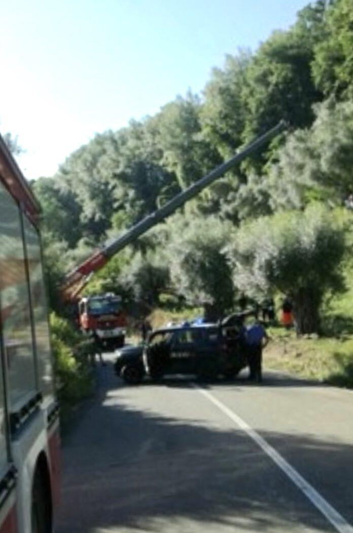 Incidente Nel Vibonese, Uomo Muore Schiacciato Dal Trattore – ZMEDIA ...