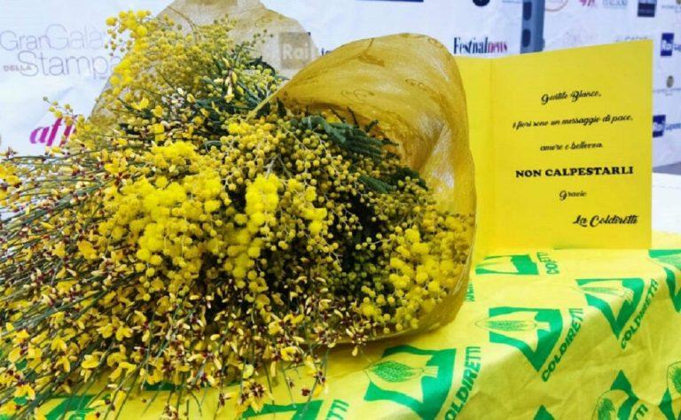 Coldiretti Calabria festa della donna: Grazie alle donne imprenditrici amiche della terra. Cinque calabresi su dieci regalano fiori o mimose